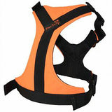 Large Dog Harness - dealomy