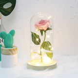 LED Lighted Enchanted Rose - dealomy